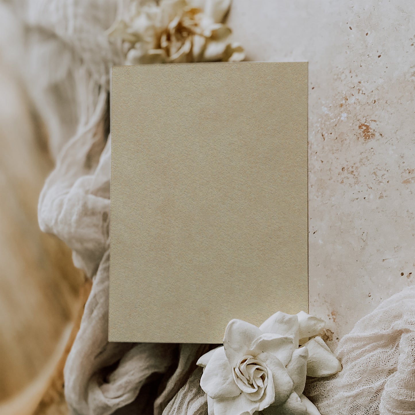BRENNAN'S DOUBLE-SIDED RSVP CARD WITH ENVELOPES