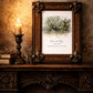 McDonogh Oak Venue Illustration