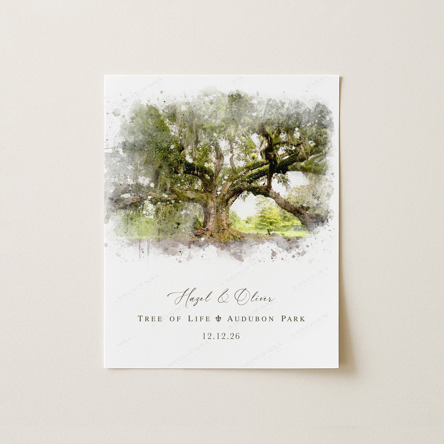 Tree of Life Venue Illustration