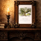 Tree of Life Venue Illustration